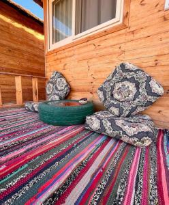 Gallery image of sea horse in Nuweiba