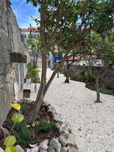 a tree in a garden next to a stone wall at Chic Loft with Garden, Sleeps 4 in Porto