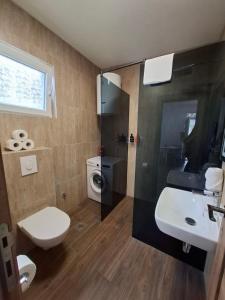 a bathroom with a toilet and a sink and a shower at Apartman Lazovic Prcanj in Kotor