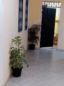 蒙巴萨Mount Zion Guest House, Mtwapa Mtomondoni的相册照片