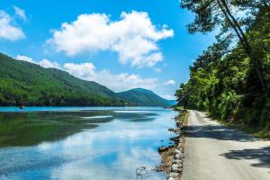 una carretera junto a un río con árboles en Divina House 2BR 2BA beach access, en Broce