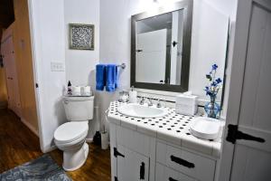 a bathroom with a toilet and a sink and a mirror at ONX WINES - Briarwood Apartment in Templeton
