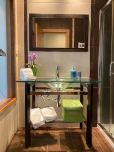 ein Badezimmer mit einem Glaswaschbecken und einem Spiegel in der Unterkunft Villa Natura in Cova
