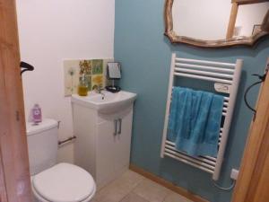 a bathroom with a toilet and a sink and a mirror at La maison du Donjon in Airvault +23 photos