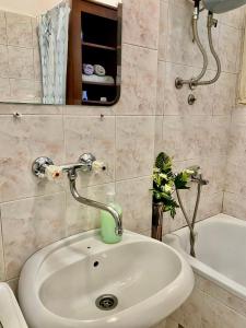 a bathroom with a sink and a bath tub at Apartment Rustico Belgrade in Belgrade +2 photos