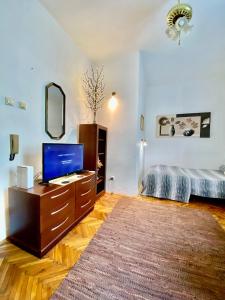 a bedroom with a television and a dresser with a bed at Apartment Rustico Belgrade in Belgrade