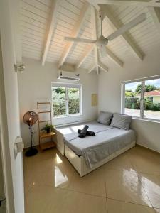 ein Schlafzimmer mit einem Bett mit Deckenventilator in der Unterkunft Family Home Jan Thiel op Marbella in Willemstad + 16 Fotos