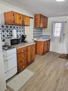 a kitchen with wooden cabinets and a white stove top oven at Castaways Cottage on Croton Pond #5 in Newaygo