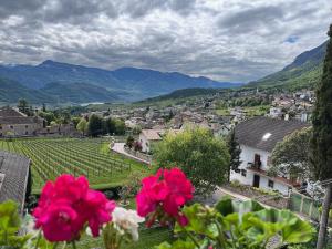 a view of a small town with pink flowers at Strengen Guesthouse in Caldaro +31 photos
