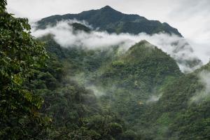 a mountain covered in mist and clouds in the mountains at Casa Borojó, Refugio Natural Jacaranda in Cocorná
