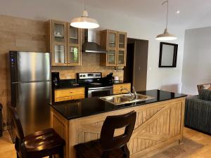Kuchyň nebo kuchyňský kout v ubytování Paseo Suites El Valle, Luxury Apartments