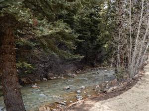 a river in the woods next to a dirt road at Modern Cabin Peaceful Nature Retreat Sleeps 2 in Grant