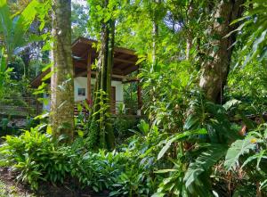 Un jardín fuera de Satta Lodge