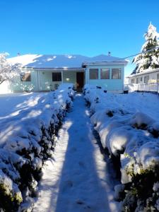 una fila di cespugli coperti di neve davanti a una casa di Casa CrisLuz a Pinto