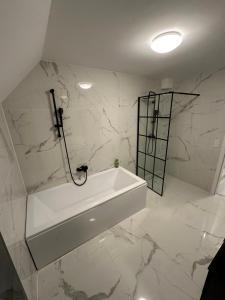 Villa HM am Waldrand的一间浴室