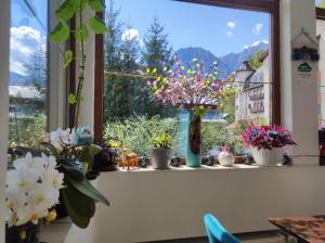 a window with vases of flowers on a window sill at Little Bear Busteni in Buşteni +38 photos