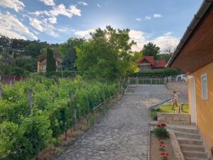 Κήπος έξω από το Villa Bellevue