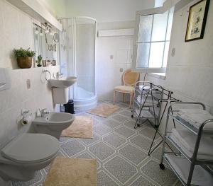 a bathroom with a toilet and a sink and a shower at Villa Patriot Apartmány in Mariánské Lázně +43 photos