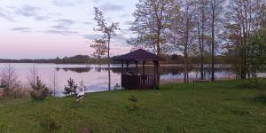 a gazebo in the grass next to a lake at Brīvdienu māja Dinary in Dagda