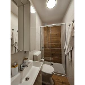 Un baño con lavabo, inodoro y ducha. en Apartmani Huno, en Kampor