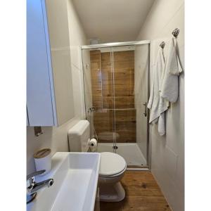 Un baño con lavabo, inodoro y ducha. en Apartmani Huno, en Kampor 6 fotos más