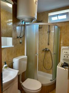 Kúpeľňa v ubytovaní Dinka Apartment