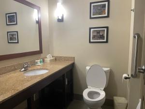 a bathroom with a toilet and a sink and a mirror at Forestpark Suites in Cincinnati