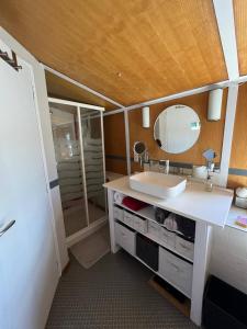un baño con lavabo y espejo en Péniche atypique - 13 min de Paris - Loft privée, en Juvisy-sur-Orge