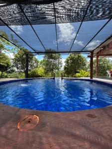 a large blue swimming pool with a roof at Finca las palmas in Puerto Triunfo
