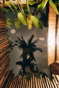 a reflection of a palm tree in the water at Chalés Água Grande in Maresias +8 photos