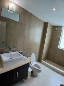 リオ・アトにあるVillas Playa Blanca Terraza con Vista al Marの洗面台、トイレ、シャワー付きのバスルーム