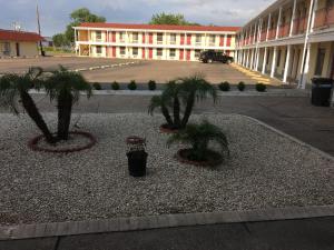 a courtyard with three palm trees in front of a building at Alice Motor Inn in Alice