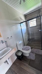 um banheiro com vaso sanitário, pia e chuveiro em Casa Campos do Jordão em Campos de Jordão