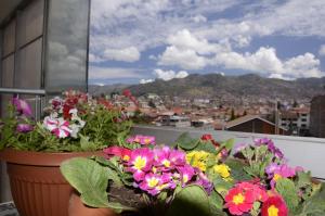 a bunch of flowers in a pot on a balcony at Aqua Hotel Cusco in Cusco