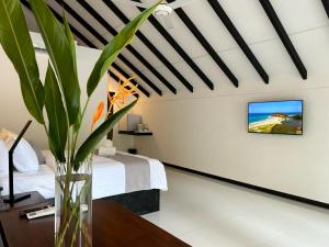 TV a/nebo společenská místnost v ubytování Nildiya Cottages