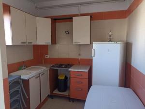 安曼bong chalet的一个小厨房,里面有水槽和冰箱