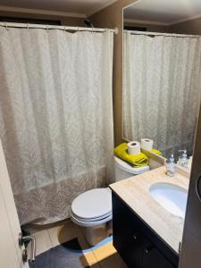a bathroom with a toilet and a shower curtain at Departamento 2 Habitaciones 2 Baños 4 Camas Indivuduales in Calama
