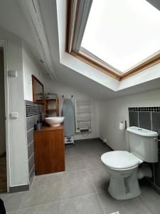 a bathroom with a toilet and a sink and a skylight at Mazet de Jade in Vallon-Pont-dʼArc +30 photos