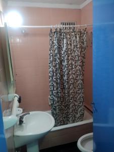 ein Badezimmer mit Waschbecken und Duschvorhang in der Unterkunft Departamento zona microcentro in Mar del Plata + 7 Fotos