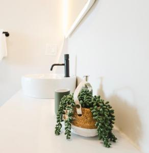 ニューヘイブンにあるBrand new cozy waterfront house w jacuzziの洗面台の横に緑の植物が置かれたバスルームのカウンター