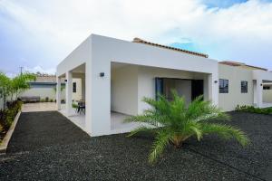 ウィレムスタッドにあるGreat Location - Newly built and Beautiful homeのヤシの木が目の前に広がる白い家