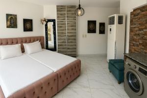 塞得港Exclusive Chalets at Porto Said Where Luxury的一间卧室配有一张床和一台洗衣机