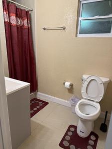 タンパにあるTutul Houseのトイレと洗面台付きのバスルーム +4枚の写真