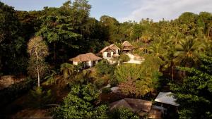 Příroda nedaleko rezortu