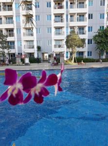 Πισίνα στο ή κοντά στο Orchard Tower 36A - Benson Anderson Orchard Tanglin Pakuwon +1 φωτογραφίες