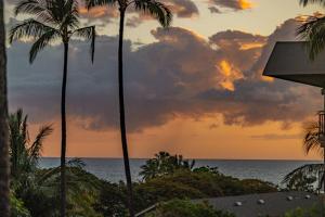 una vista dell'oceano da un resort con palme di Kihei Akahi D205 a Wailea