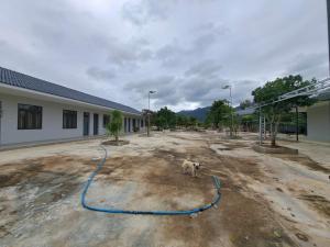 a blue hose on the ground in front of a building at Nhà ở tại Cam Ranh in Thôn Xuan Ninh +2 photos
