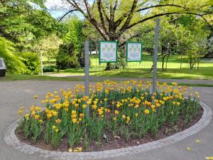 Jardín al aire libre en Wohnung in Leoben Zentrum Zwischen Hauptplatz und Stadtpark