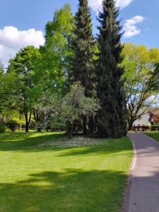 Zahrada ubytování Wohnung in Leoben Zentrum Zwischen Hauptplatz und Stadtpark