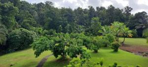 Příroda nedaleko apartmánu + 16 fotografií